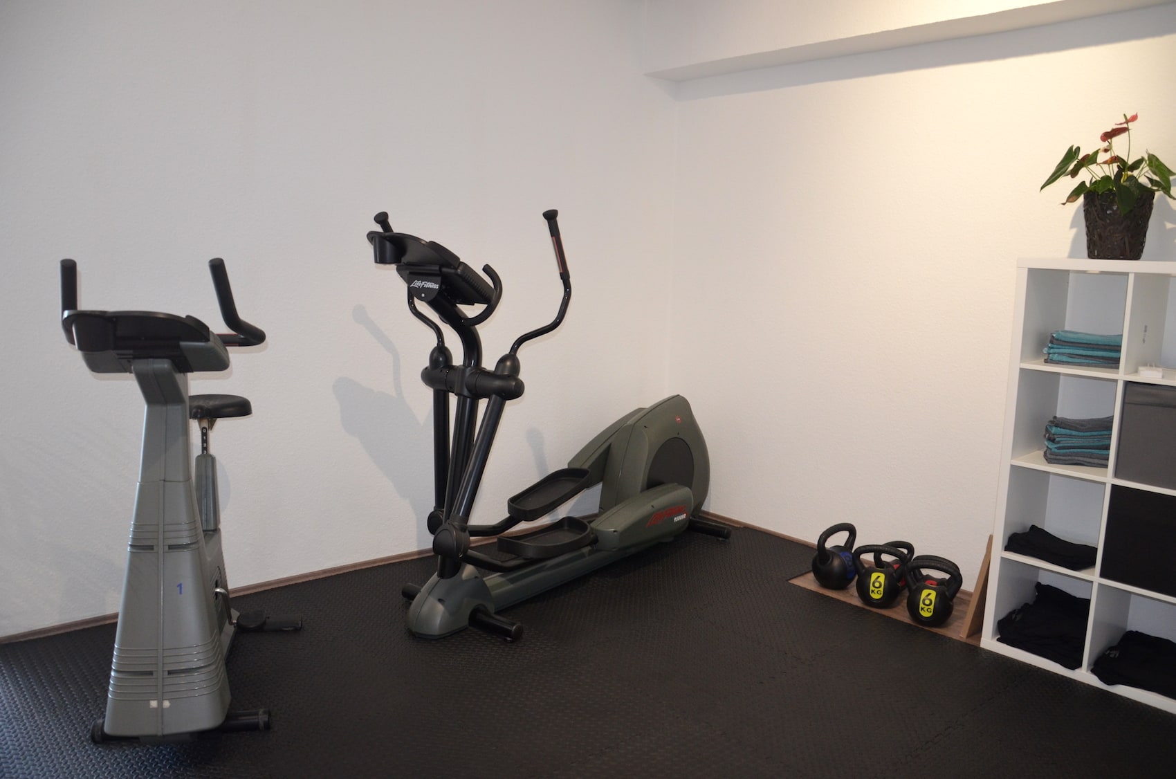 Unsere Tarife für EMS-Training Unsere Tarife für EMS-Training